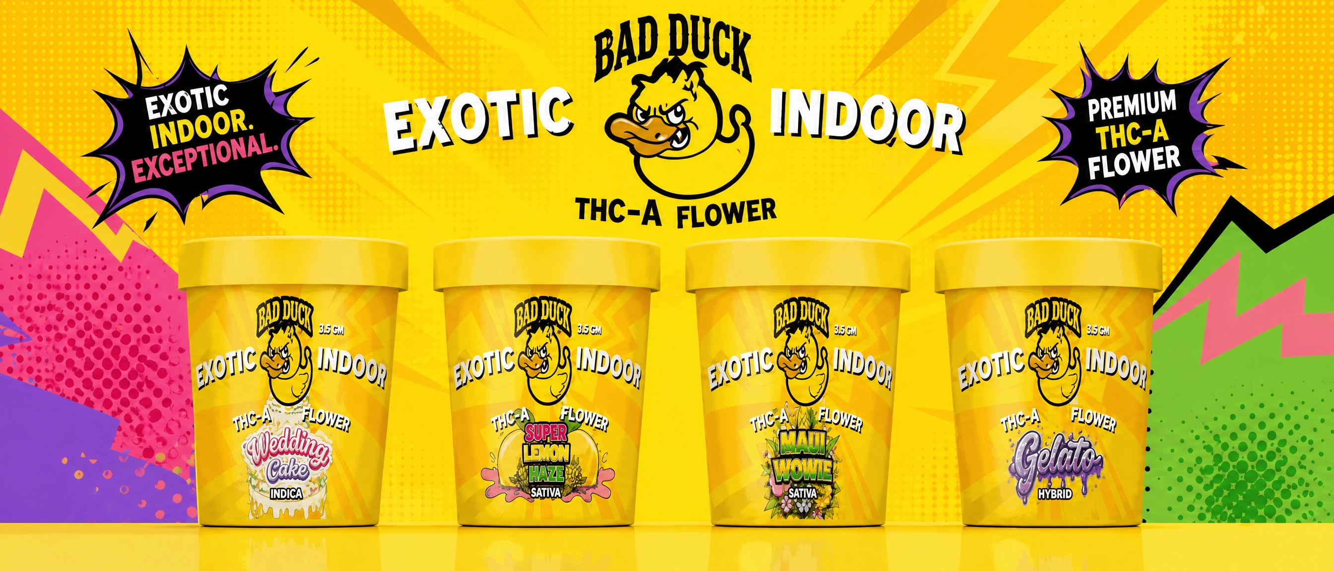 Whip Trip & Bad Duck Slide Banner