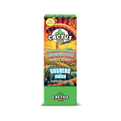 Cactus Mushrooms 2 Gram