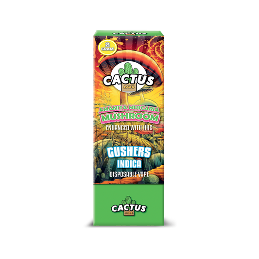 Cactus Mushrooms 2 Gram