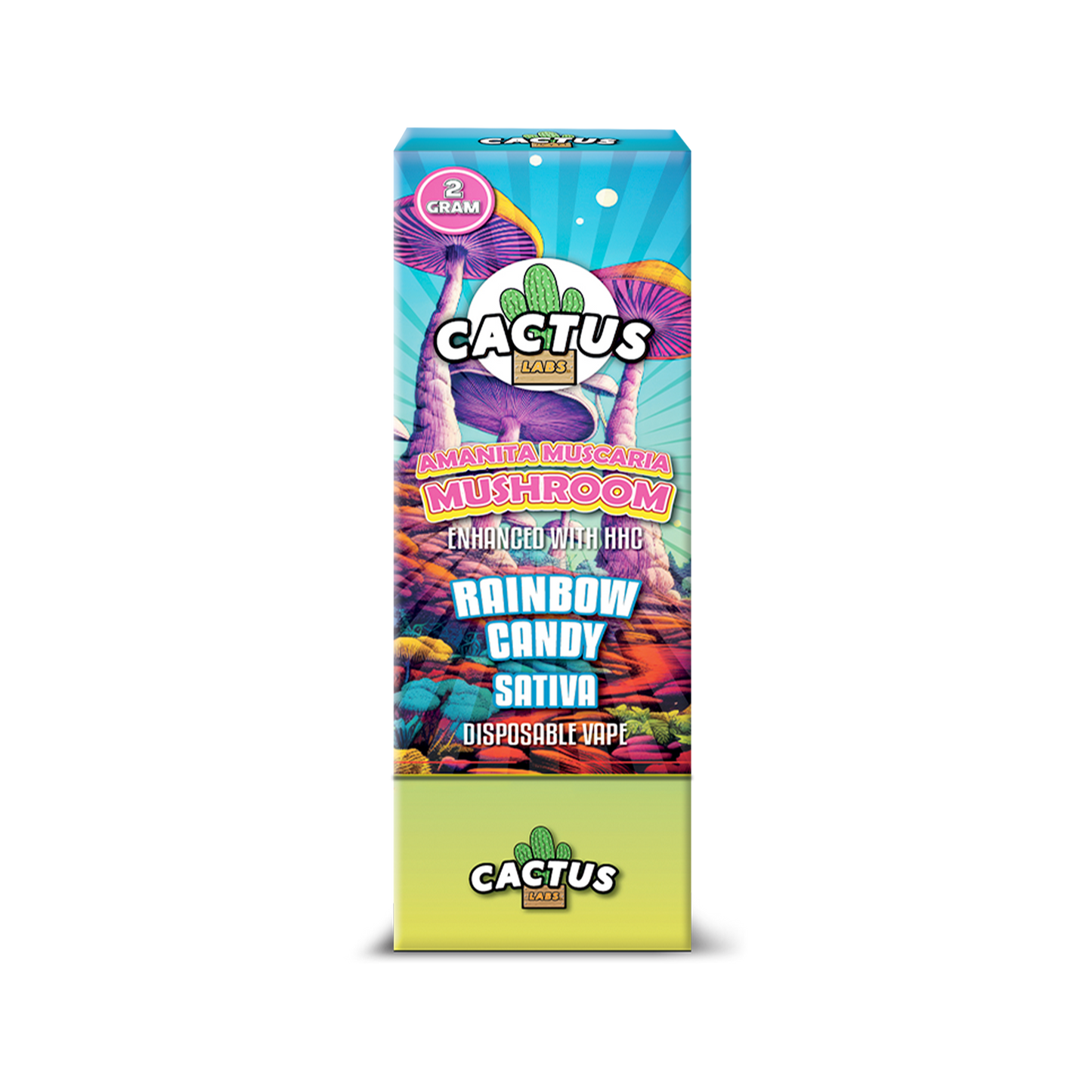 Cactus Mushrooms 2 Gram
