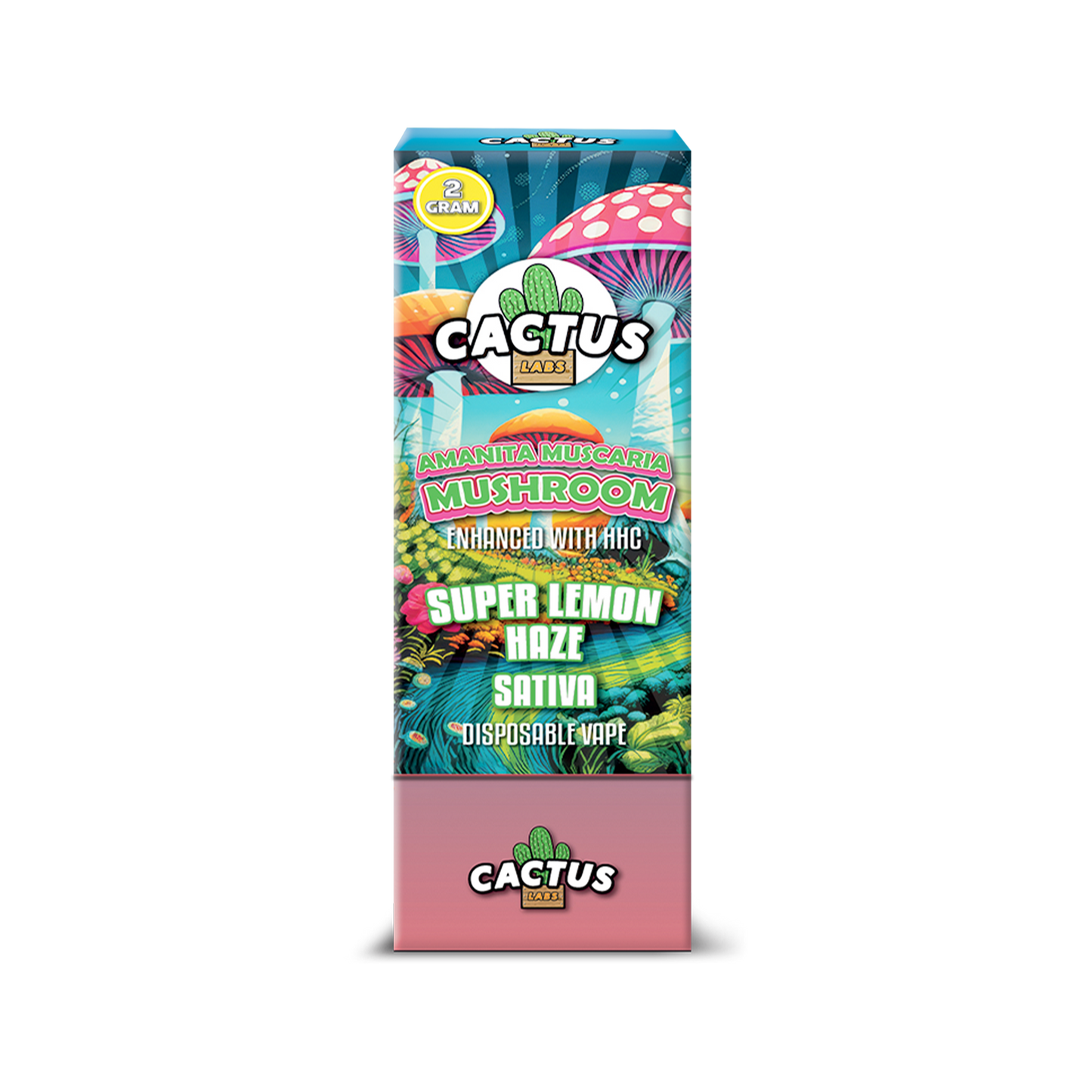 Cactus Mushrooms 2 Gram