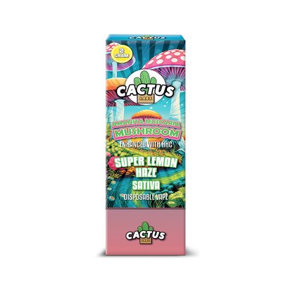 Cactus Mushrooms 2 Gram